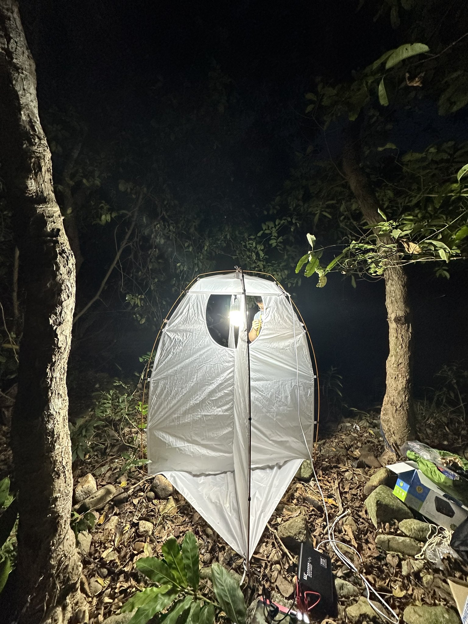 lighttrapping